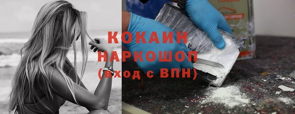 шишки Горно-Алтайск