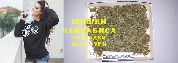 шишки Горно-Алтайск