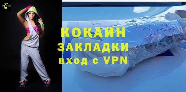 шишки Горно-Алтайск