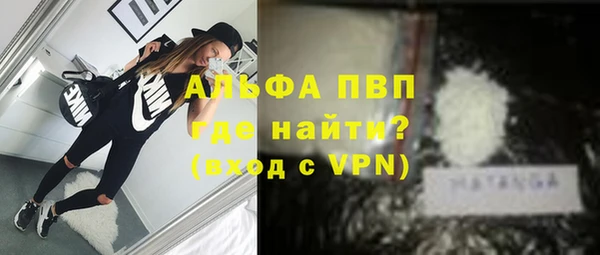 твердый Горняк