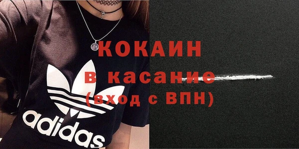 твердый Горняк