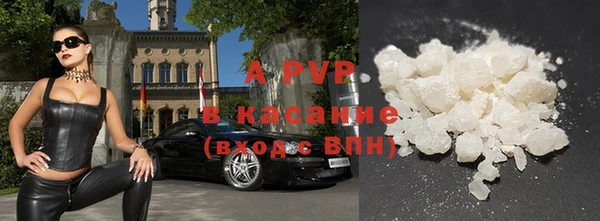 шишки Горно-Алтайск