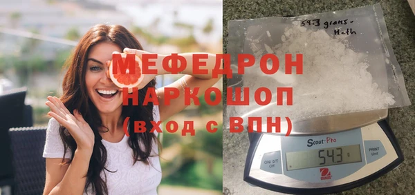 шишки Горно-Алтайск