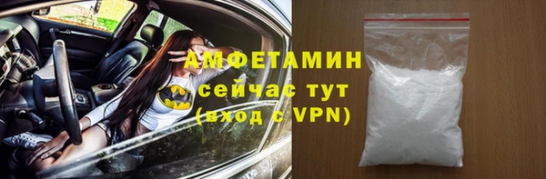 шишки Горно-Алтайск